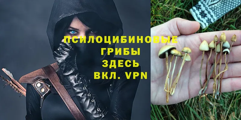 Псилоцибиновые грибы Magic Shrooms  Когалым 